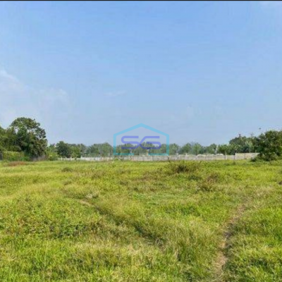 Dijual Tanah Cikupa Tanggerang Luas 8100m2