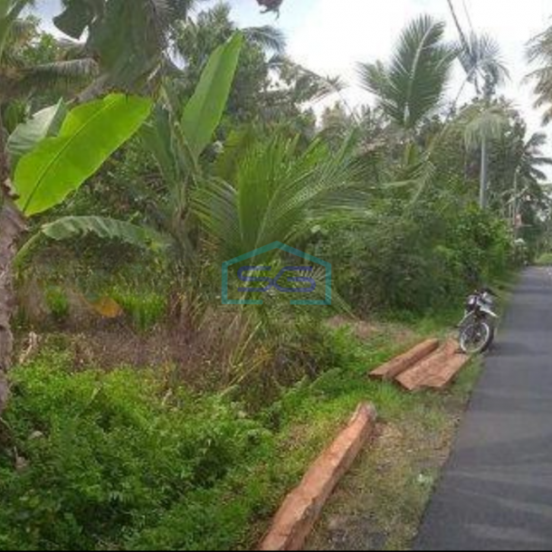 Dijual Tanah Tabanan Bali Sangat Murah Luas 2300m2 Pinggir Jalan-1