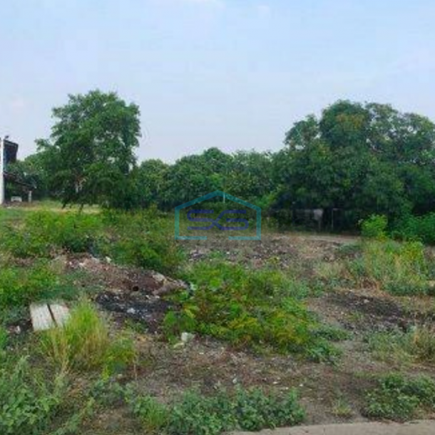 Disewakan Tanah Tipar Cakung Jakarta Timur Luas 7000m2-1
