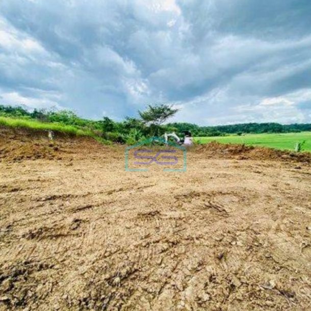 Dijual Tanah Kawasan Industri Tunjung Teja Serang Luas 10766m2-2