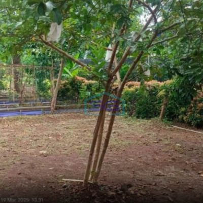 DiJual Cepat Tanah Luas dan Matang Pinggir Jalan Utama M Kahfi Jakarta Selatan ifikasi Luas Tanah 3000 m²
