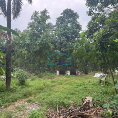 Dijual Tanah Murah Luas 3200 m² Lokasi Gunung Sindur Bogor