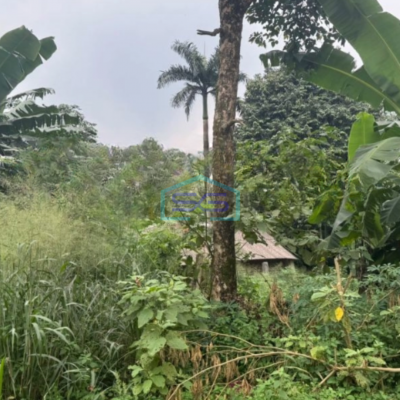 Dijual Tanah Murah Luas 3200 m² Lokasi Gunung Sindur Bogor