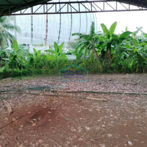 Disewakan Tanah Luas 3005 m² Lokasi Strategis di Sunter Jakarta Utara-2