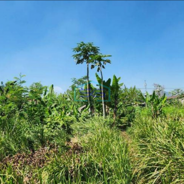 Dijual Tanah Zona Abu Industri Bisa Akses Kontainer 40 Feet di Sayap Cipatik Bandung LT 3155m2-2
