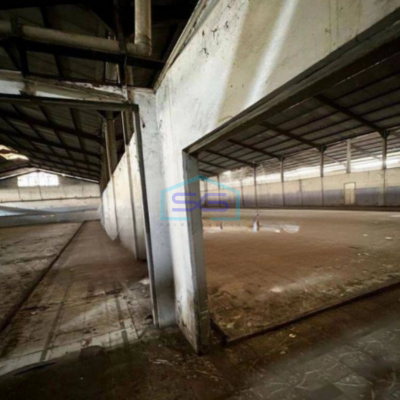 Disewakan Gudang Luas 16.000 M2 Akses Container Di Karawang Timur Dekat Tol