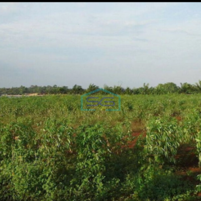 Dijual Tanah Industri di Kalijati Subang Dekat Industri Smartpolitan LT 20000m2