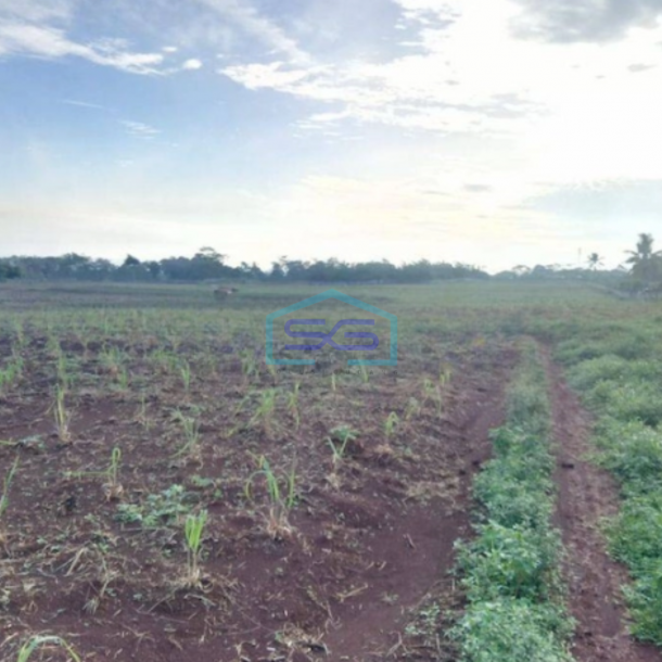 Dijual Tanah Untuk Industri - Cocok Buat Pabrik dan Pergudangan di Ciganea Purwakarta-1