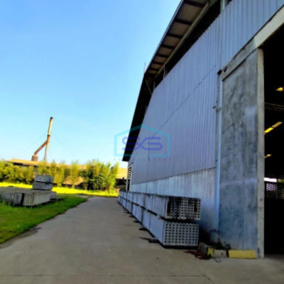 Disewakan Gudang Luar Kawasan Di Cikarang Bekasi Dekat Jababeka Luas Bangunan 3665m2