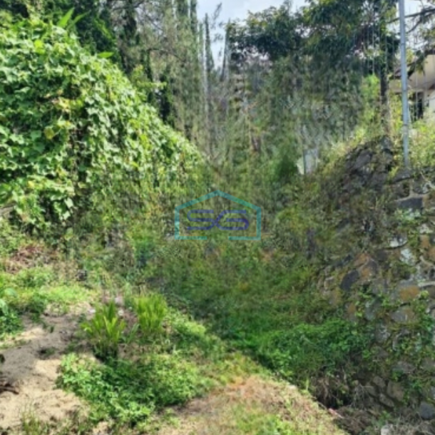 Dijual Tanah Lokasi Trawas Mojokerto Jawa Timur Luas  3000 m²-1