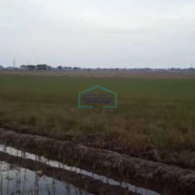 Dijual Tanah Lokasi Karang Sambung kec. Kedungwaringin Bekasi Jawa Barat Luas Tanah  40810 m²