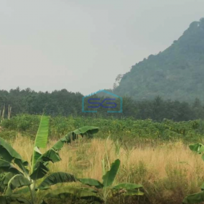 Dijual Tanah Kavling Sentul City Dekat Jungle Land Sentul Bogor Luas Tanah  40000 m²