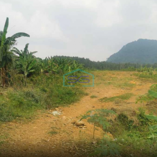 Dijual Tanah Kavling Sentul City Dekat Jungle Land Sentul Bogor Luas Tanah  40000 m²-2