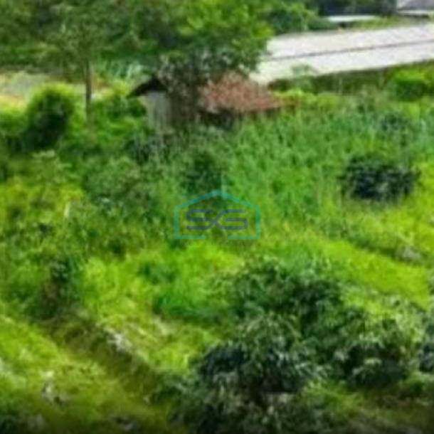 Dijual Tanah Strategis di Lembang Dekat Pusat Hiburan, Kab Bandung Barat Luas Tanah  11700 m²-2