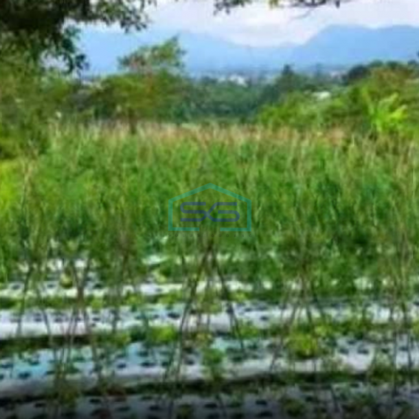 Dijual Tanah Strategis di Lembang Dekat Pusat Hiburan, Kab Bandung Barat Luas Tanah  11700 m²-1