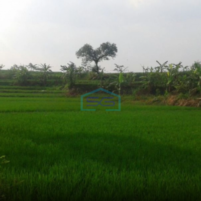 Dijual Tanah Sawah Daerah Sinargalih Bumi Mas Majalengka Luas Tanah  8820 m²