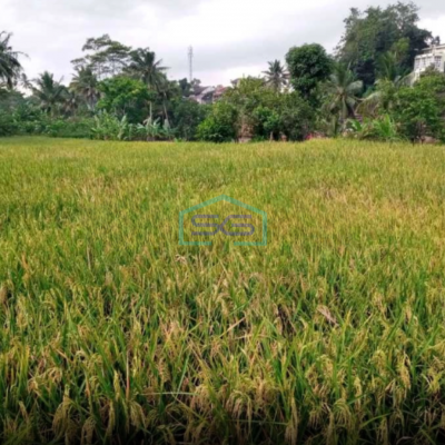 Dijual Tanah Sawah Daerah Sinargalih Bumi Mas Majalengka Luas Tanah  8820 m²