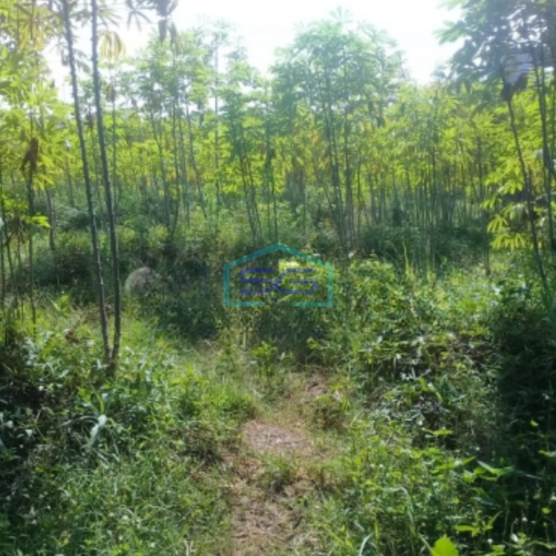 Dijual Tanah Murah Daerah Jatihandap Bawah Dan Jatihandp Utama Bandung Luas Tanah  3200 m²-3