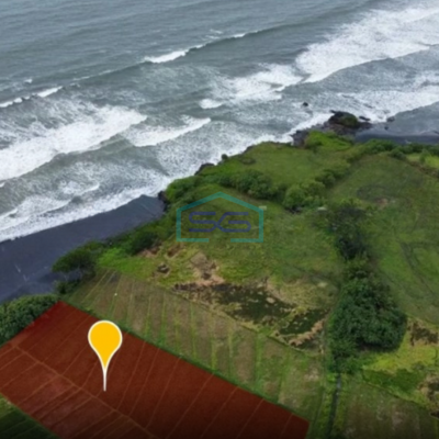 Dijual Tanah Los Pantai Beach front Pantai Kelanting Tabanan Bali Luas Tanah  7900 m²