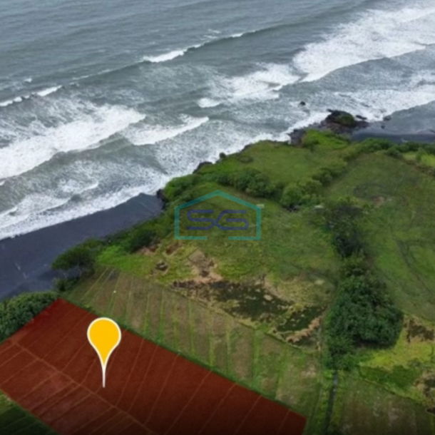 Dijual Tanah Los Pantai Beach front Pantai Kelanting Tabanan Bali Luas Tanah  7900 m²-2
