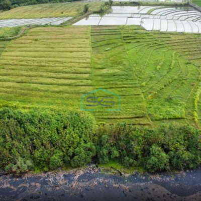 Dijual Tanah Los Pantai Beach front Pantai Kelanting Tabanan Bali Luas Tanah  7900 m²