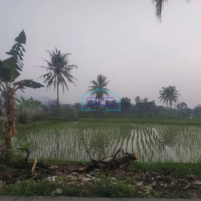 Dijual Tanah Sawah Strategis Cianjur Luas Tanah  9875 m²