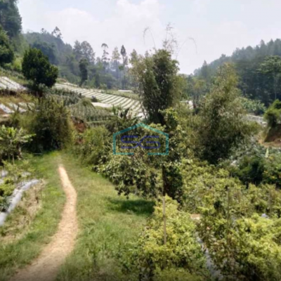 Dijual Tanah Strategis di Maribaya Lembang Luas Tanah  100000 m²