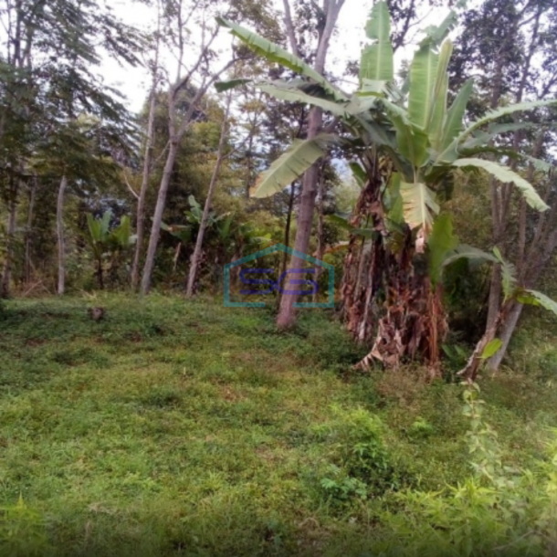 Dijual Tanah DI Cibodas Ciwidey Bandung Luas Tanah  20000 m2-3