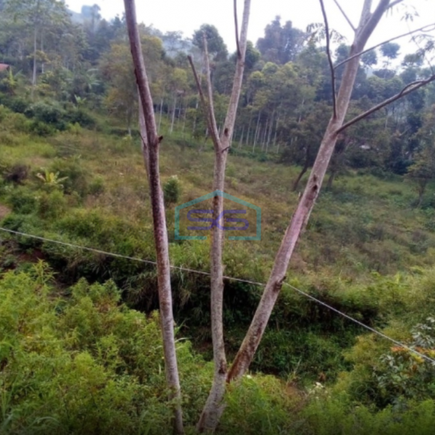 Dijual Tanah DI Cibodas Ciwidey Bandung Luas Tanah  20000 m2-1