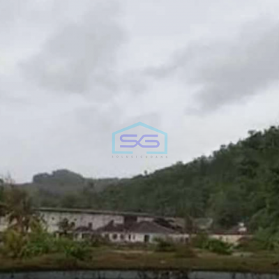 Dijual Tanah Lokasi Pangandaran Ciamis Luas Tanah  56000 m²