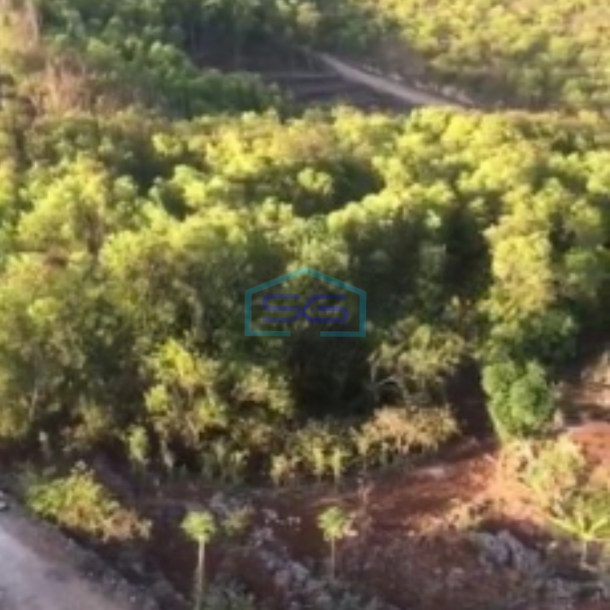 Dijual Tanah daerah Parangtritis Bantul, Yogyakarta Luas Tanah  15000 m²-3