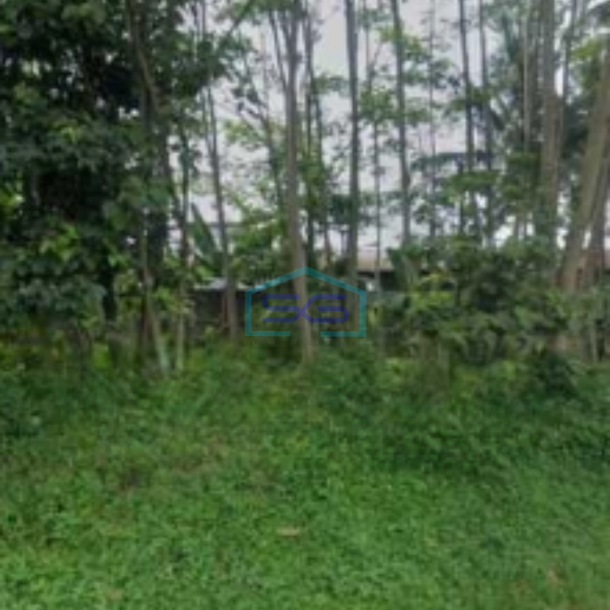 Dijual Tanah Di Cianjur Luas Tanah  86000 m²-1