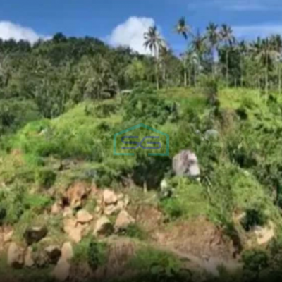 Dijual Tanah Cepat Murah Lokasi di Atas Bukit Karangasem Bali Luas Tanah  12400 m²