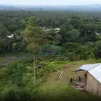 Dijual Tanah Cepat Murah Lokasi di Atas Bukit Karangasem Bali Luas Tanah  12400 m²