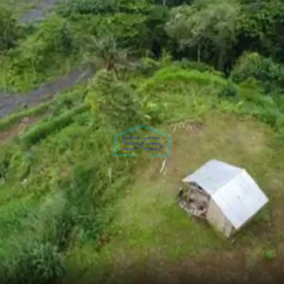 Dijual Tanah Cepat Murah Lokasi di Atas Bukit Karangasem Bali Luas Tanah  12400 m²