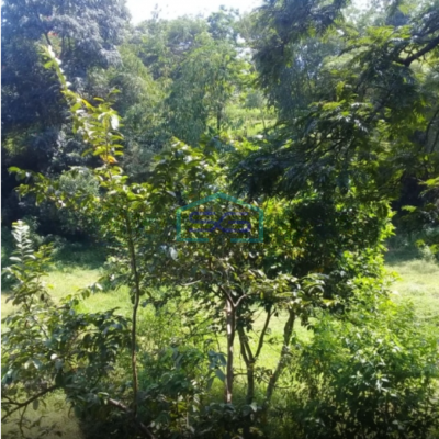 DIjual Tanah di Cimenyan Bandung Luas Tanah  3000 m²