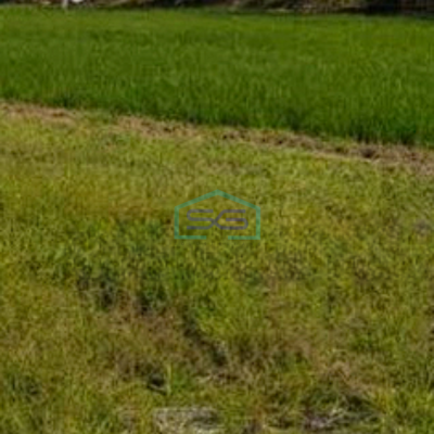 Dijual Tanah Lokasi di Sidoarjo Jawa Timur Luas 2610m2