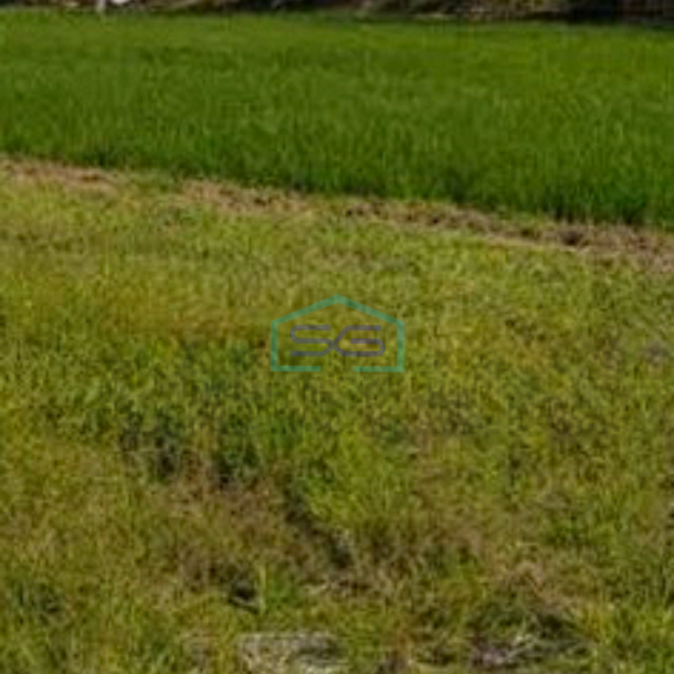 Dijual Tanah Lokasi di Sidoarjo Jawa Timur Luas 2610m2-1