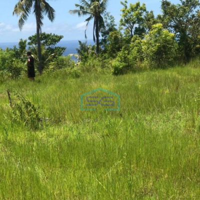 Dijual Tanah di Nusa Penida Klungkung Bali Luas Tanah  8500 m²