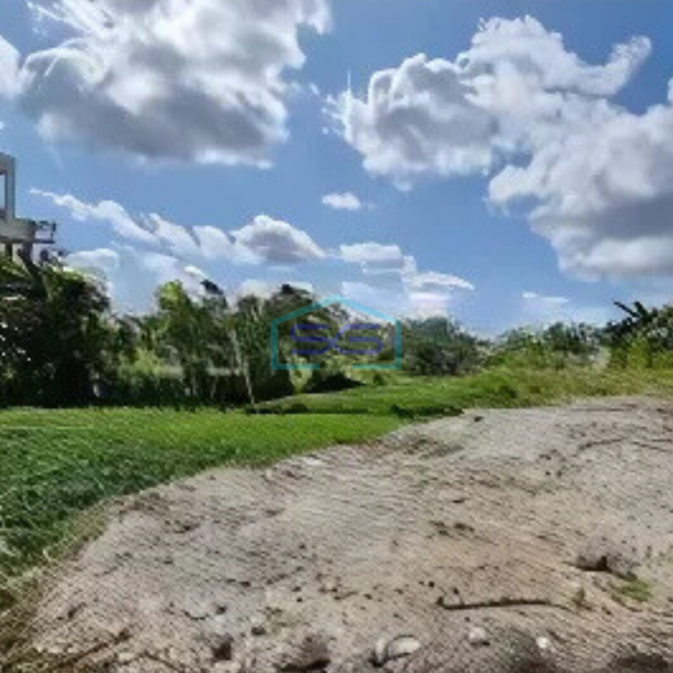 Dijual Tanah di Canggu Bali-1