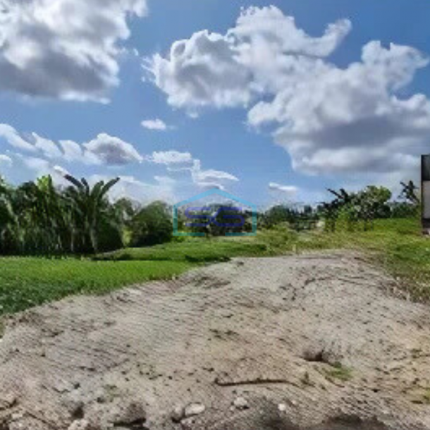 Dijual Tanah di Canggu Badung Bali-1
