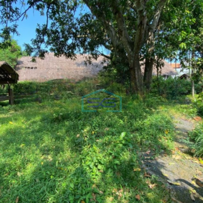 Dijual Tanah Luas 2500 m² di Ubud Gianyar Bali