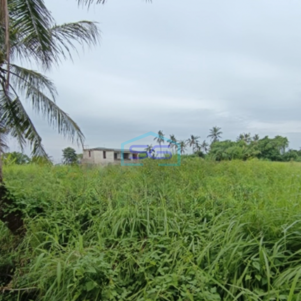 Dijual Tanah Luas 3500 m² di Ubud Gianyar Bali-1