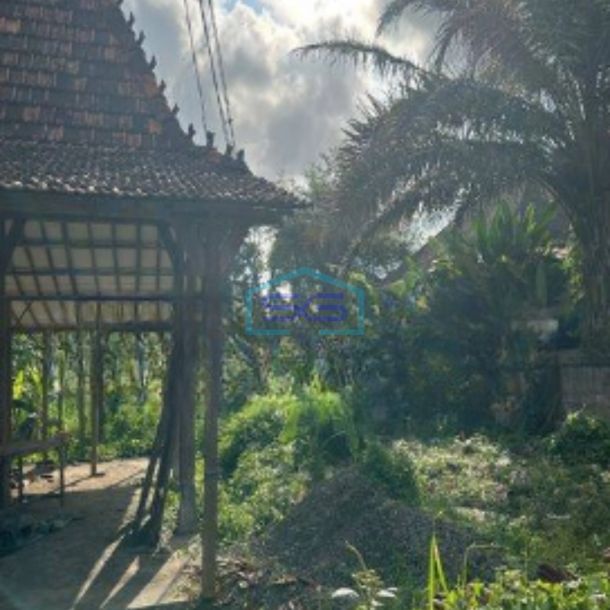 Dijual Tanah Pinggir Jalan Raya di Ubud Bali-2