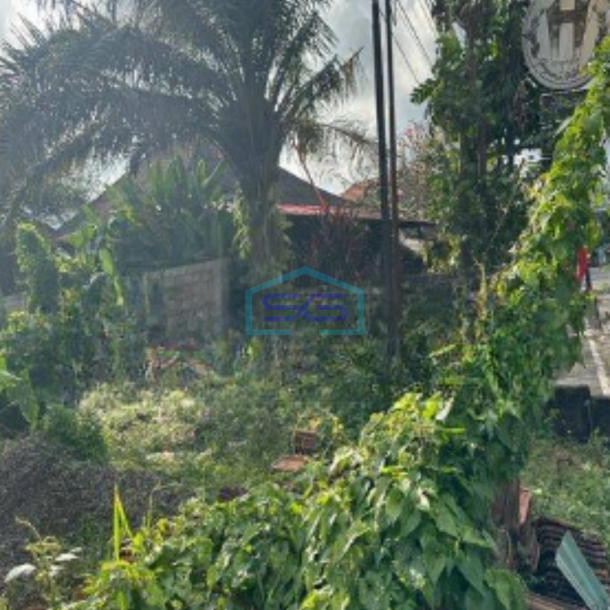 Dijual Tanah Pinggir Jalan Raya di Ubud Bali-3