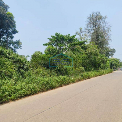 Dijual Tanah 2 Ha di Dang Dang Cisauk Tangerang