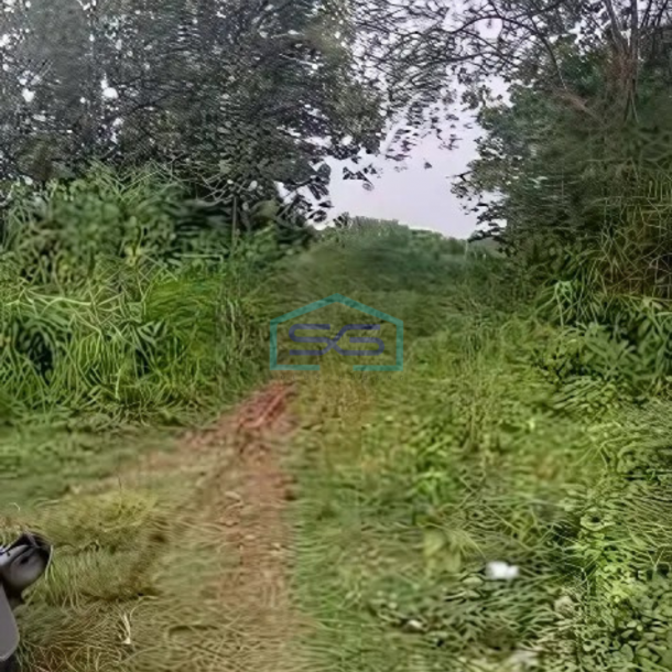 Dijual Tanah Strategis di Ciangir Legok Tangerang Banten LT 14 Ha-1
