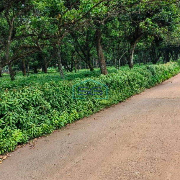 Dijual Tanah Bagus Lokasi Strategis Di Cisauk Tangerang LT 15000m2-1