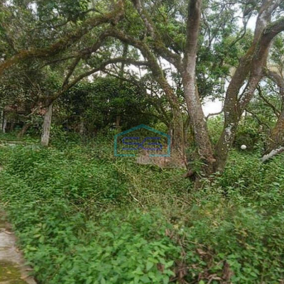 Dijual Tanah Murah Pinggir Jalan Utama Parung Panjang Bogor Jawa barat LT 8538m2