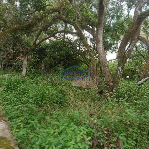 Dijual Tanah Murah Pinggir Jalan Utama Parung Panjang Bogor Jawa barat LT 8538m2-1